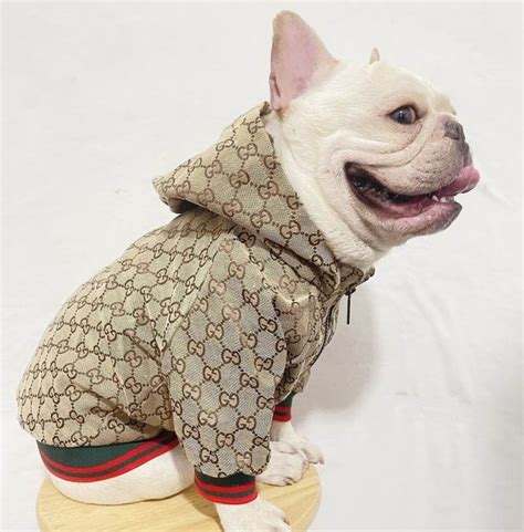 gucci dog|gucci clothes for dogs.